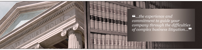 Complex Business Litigation